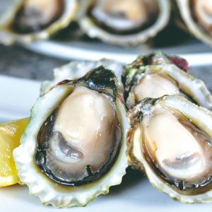 Pack 25 unidades Ostras Frescas desde Chiloé